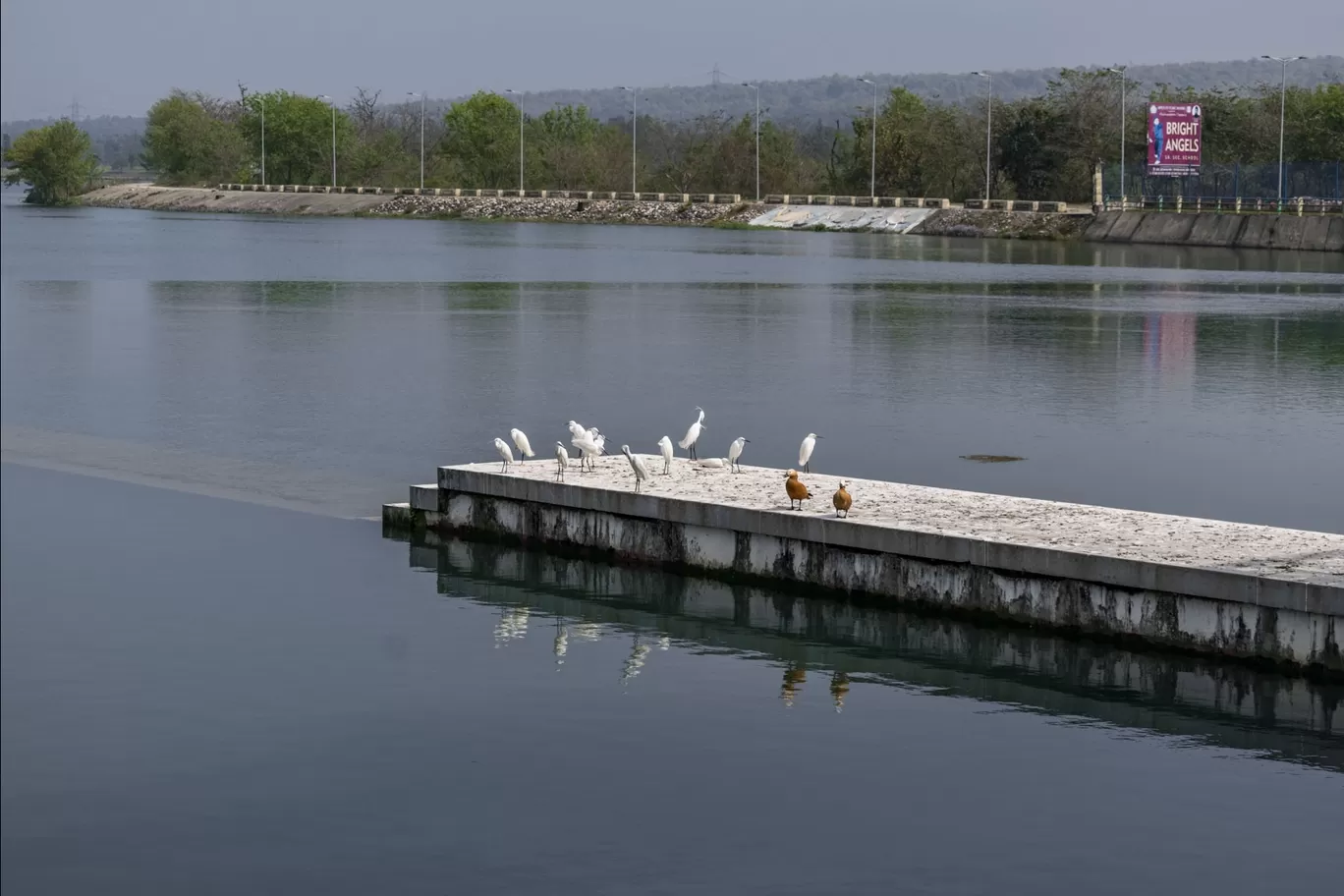 Photo of Paonta Sahib By Gurkirat Singh