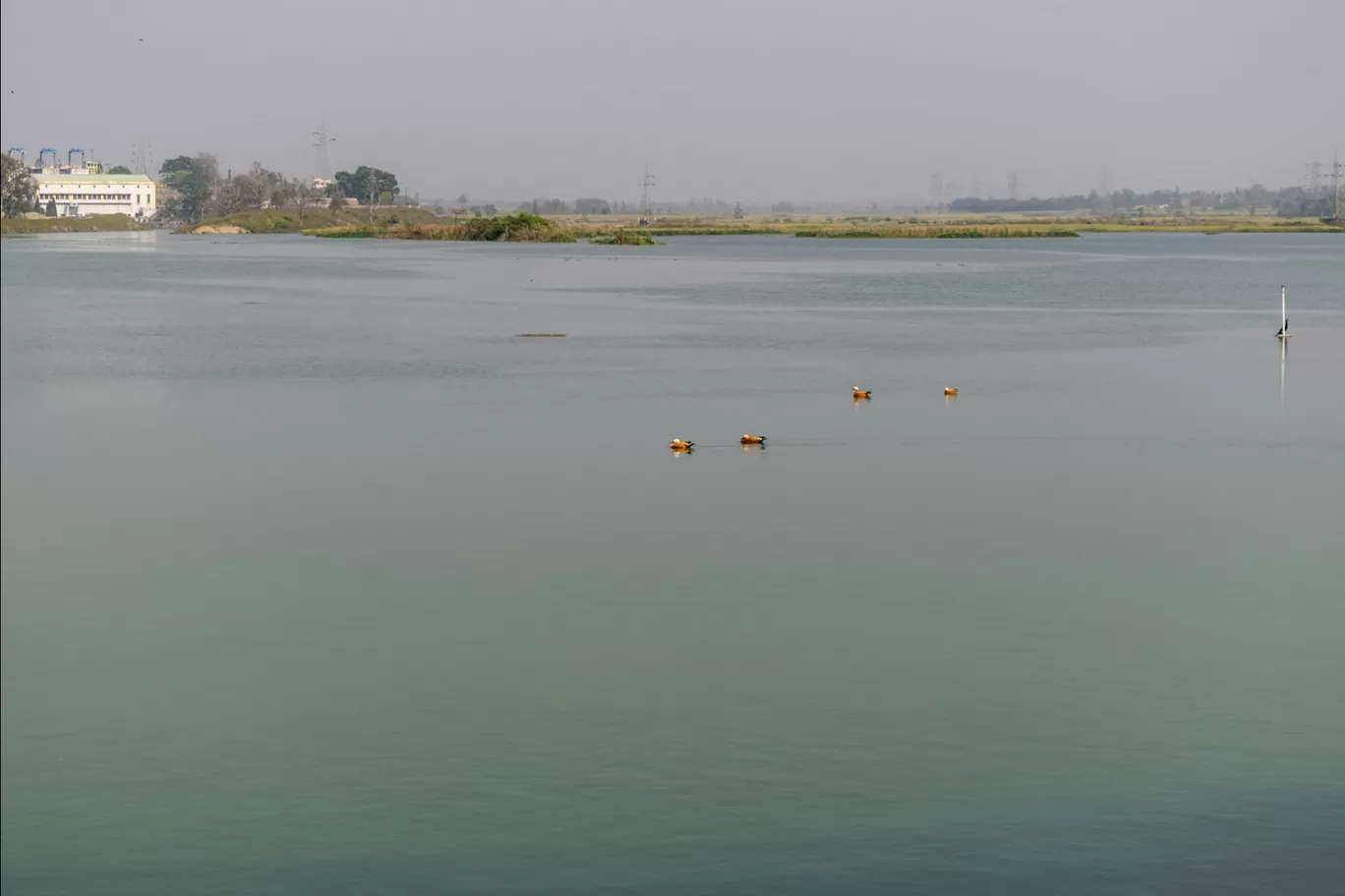Photo of Paonta Sahib By Gurkirat Singh
