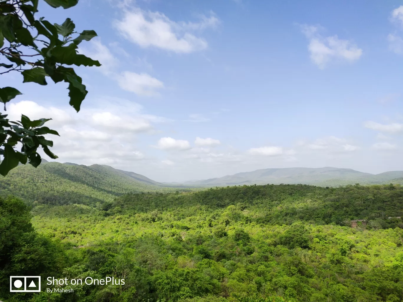 Photo of Nallamala Forest By Mahesh 