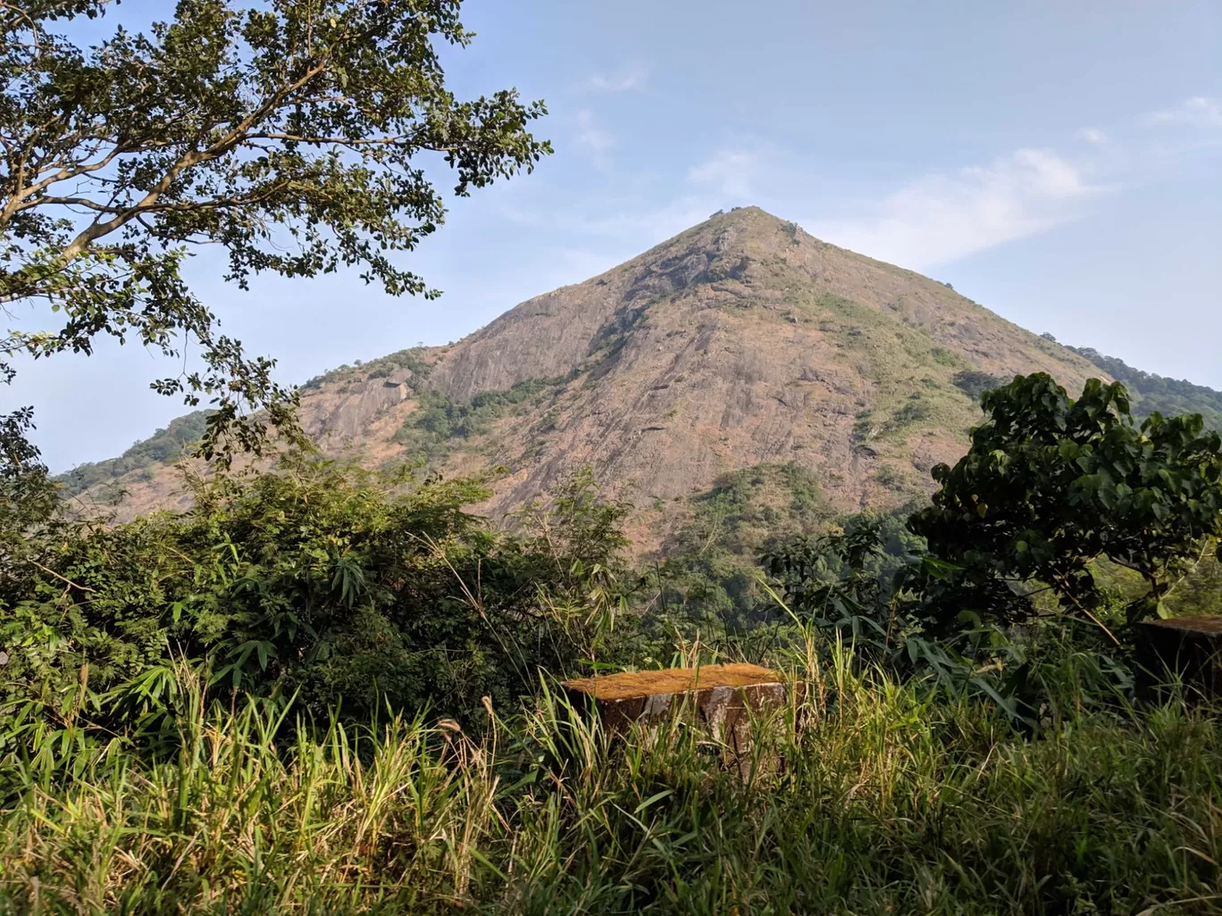 Photo of Nelliyampathy Forest Reserve By Gokul Kn