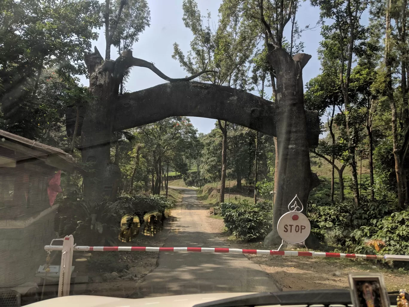 Photo of Nelliyampathy Forest Reserve By Gokul Kn