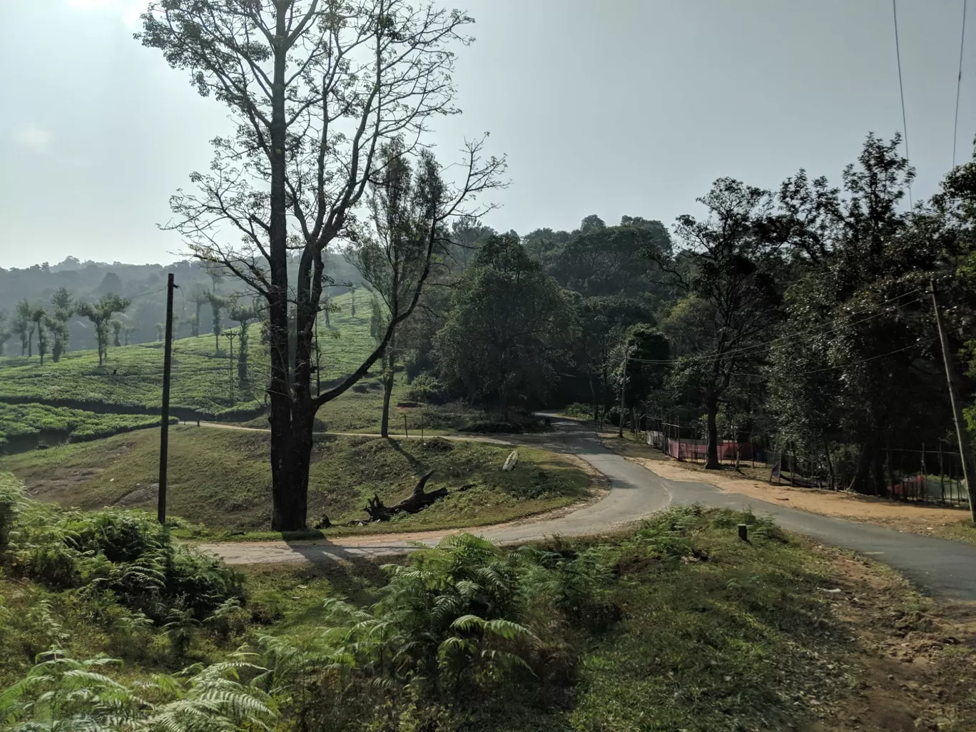 Photo of Nelliyampathy Forest Reserve By Gokul Kn