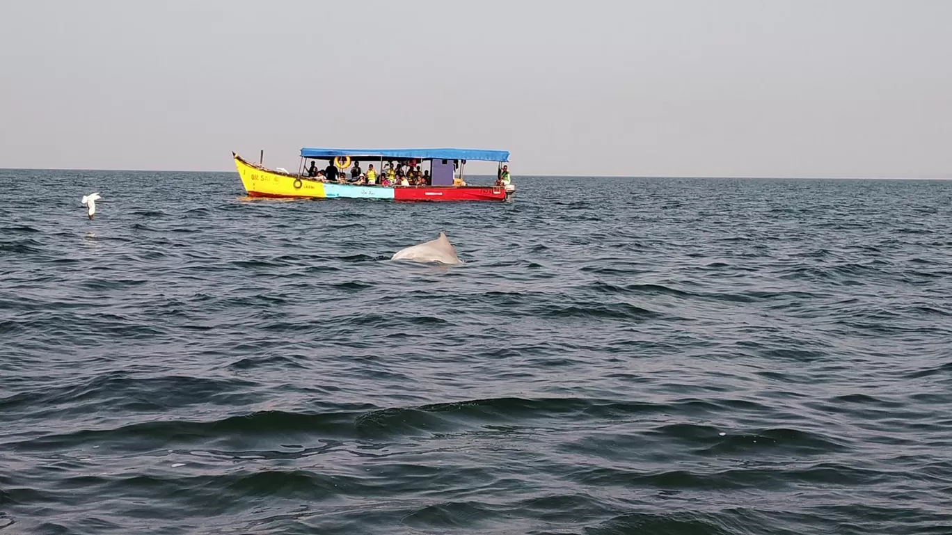 Photo of Goa By Sowrab Raj (Rj)