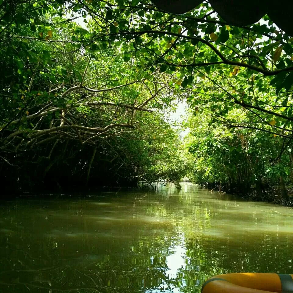 Photo of Kerala By Alipta