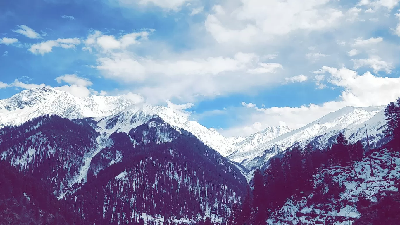 Photo of Tosh By Deepanshu Arora