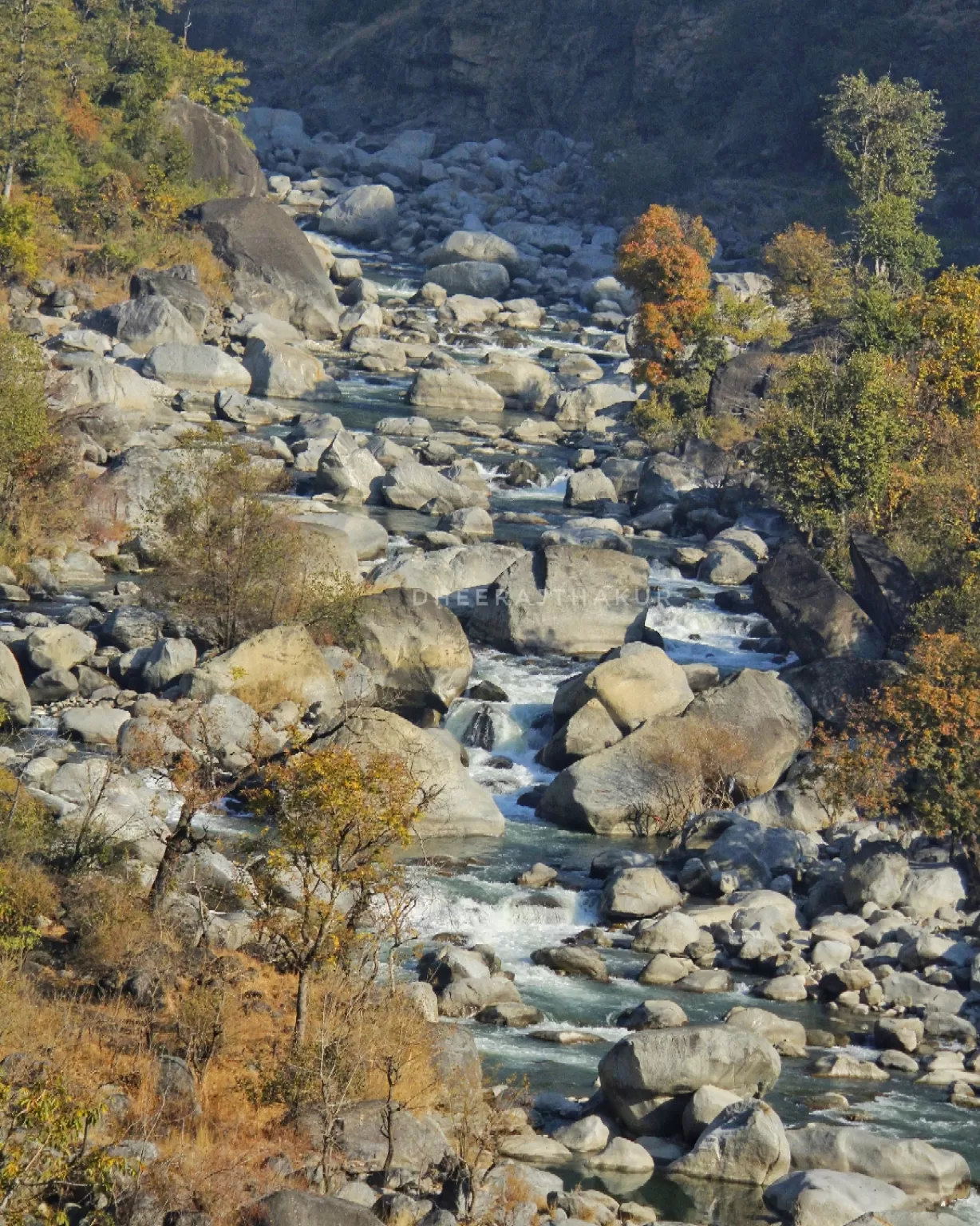 Photo of Shimla By Himalayan Wanderer
