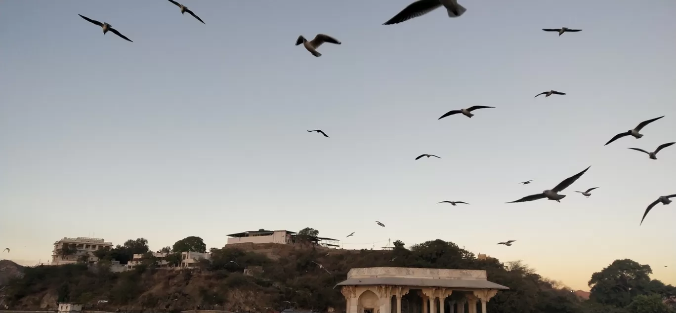 Photo of Ana Sagar Lake By Saif Ali