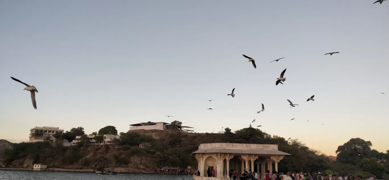 Photo of Ana Sagar Lake By Saif Ali