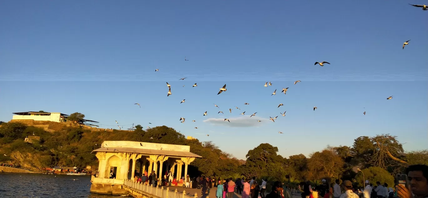 Photo of Ana Sagar Lake By Saif Ali