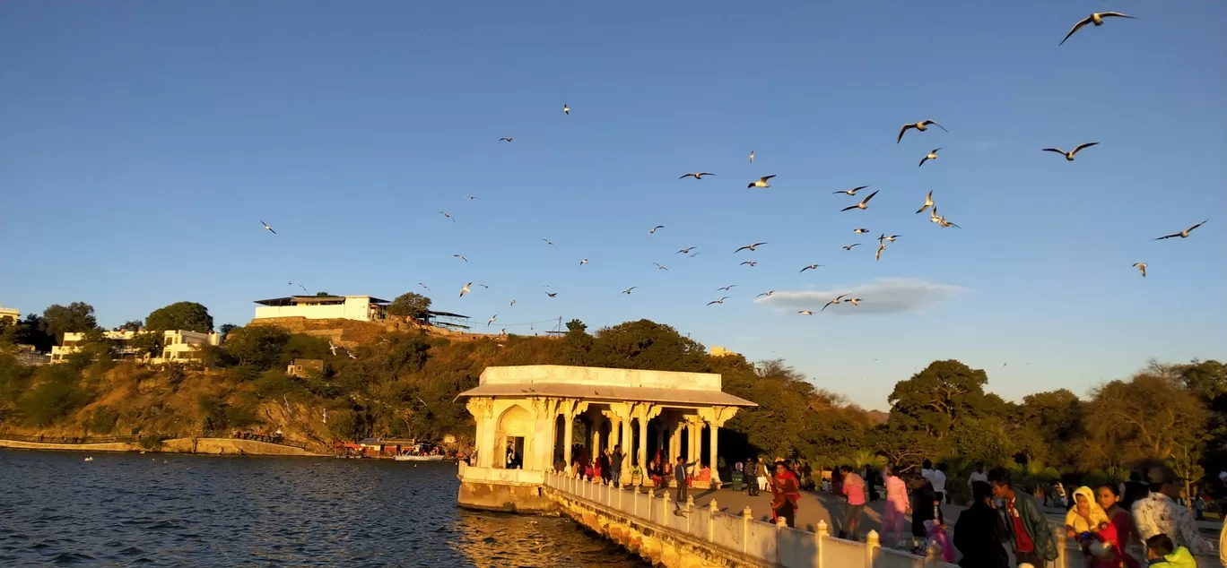 Photo of Ana Sagar Lake By Saif Ali