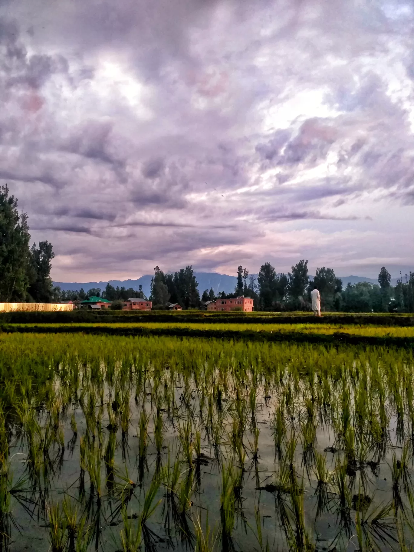 Photo of Anantnag By Sheikh Huzaif