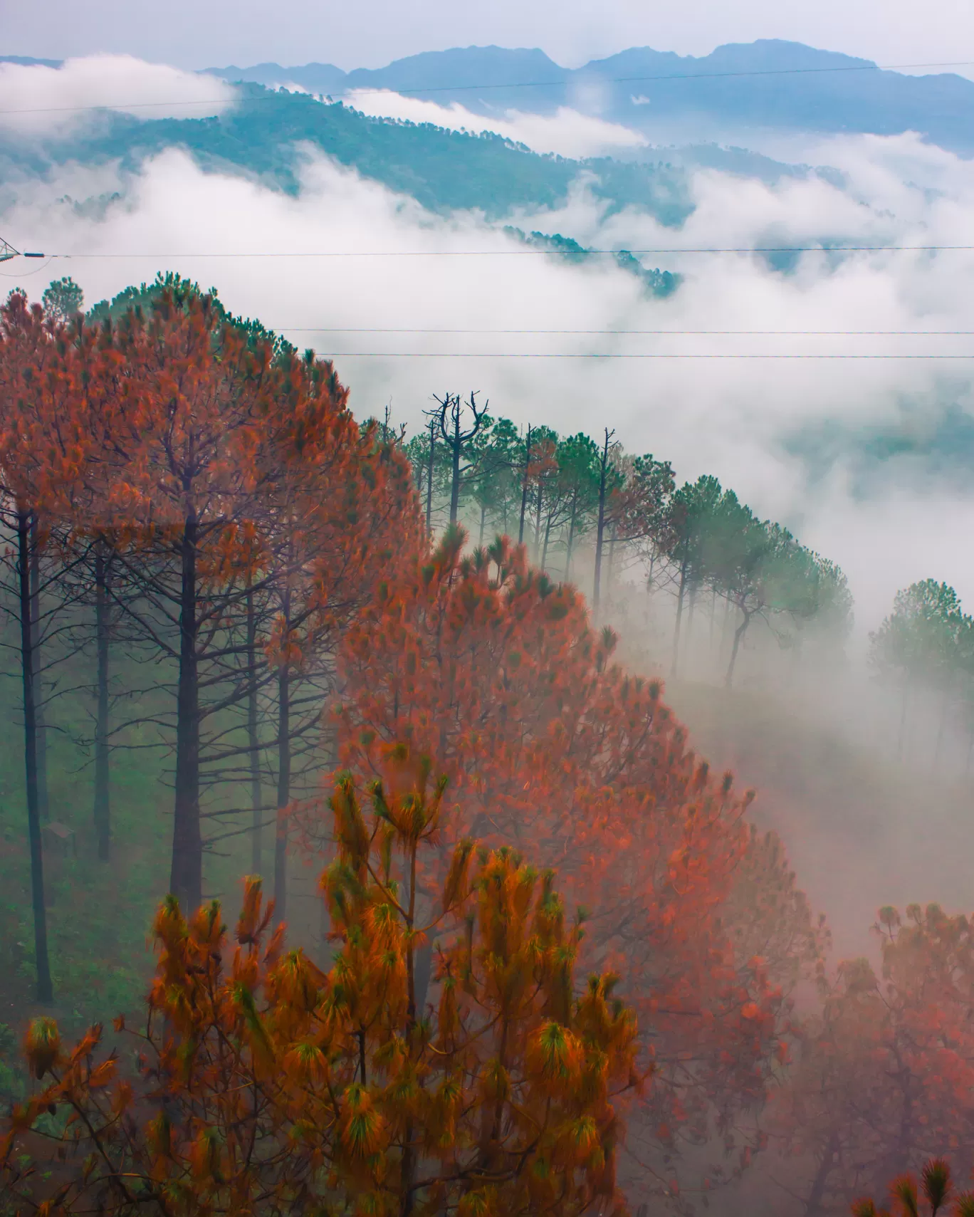 Photo of Nahan By Aarohan Tiwari