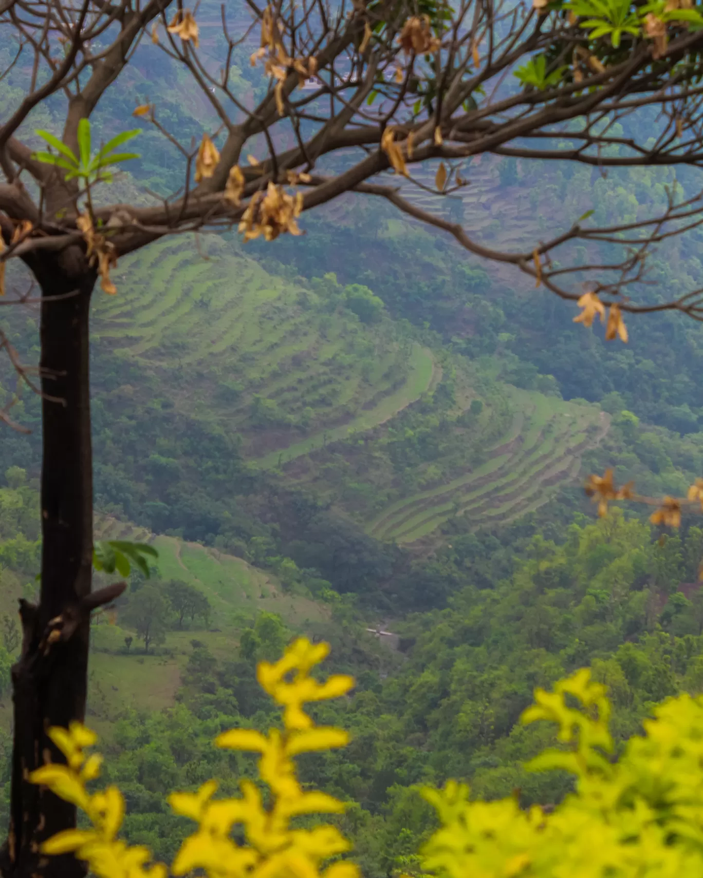 Photo of Nahan By Aarohan Tiwari