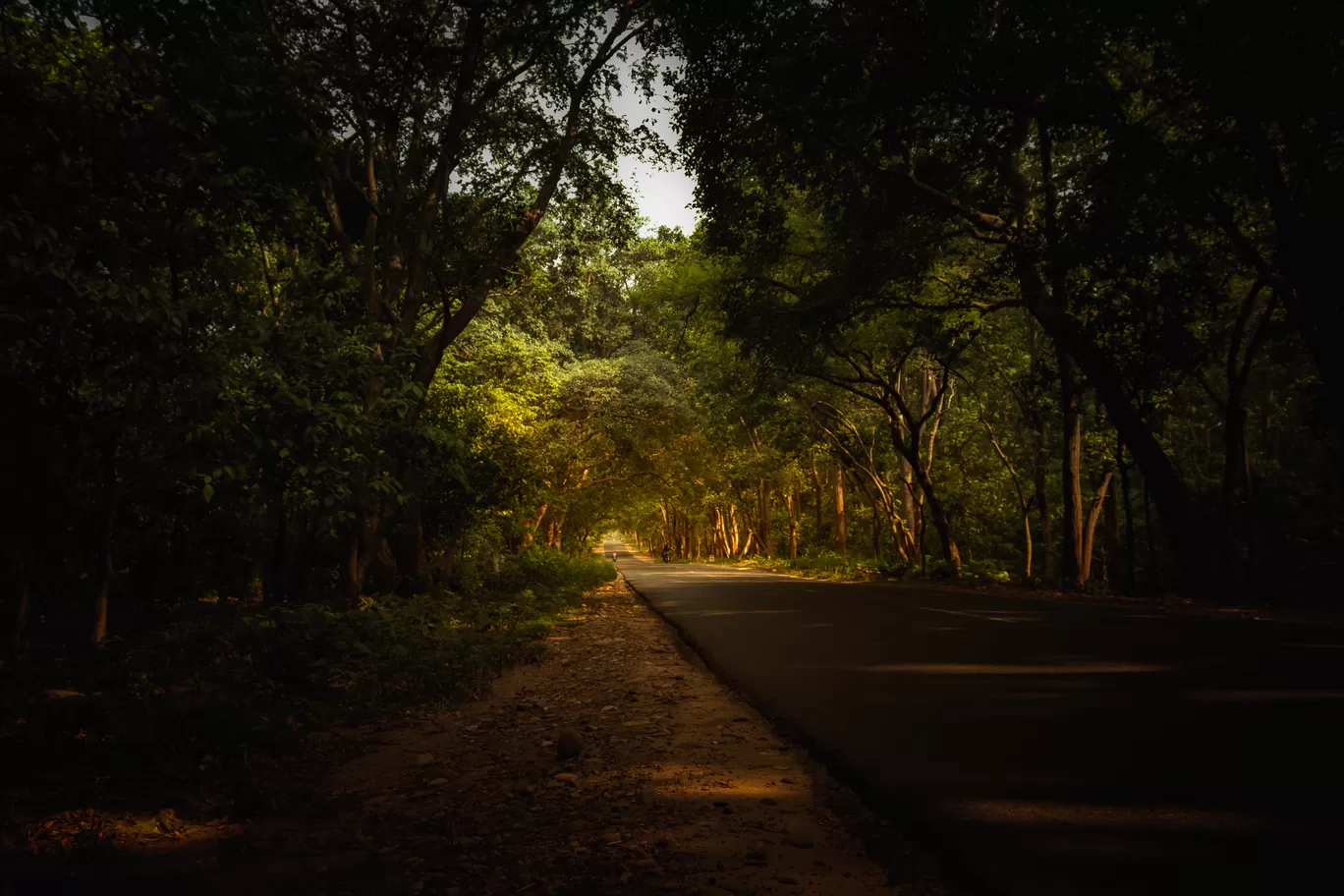 Photo of Nahan By Aarohan Tiwari