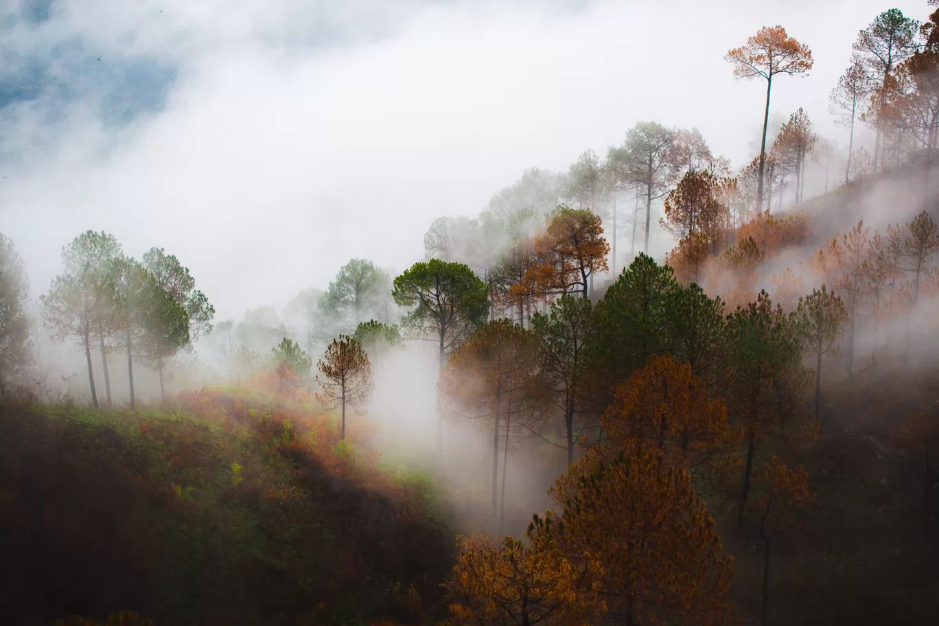 Photo of Nahan By Aarohan Tiwari