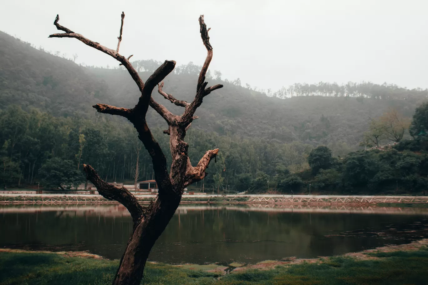 Photo of Nahan By Aarohan Tiwari
