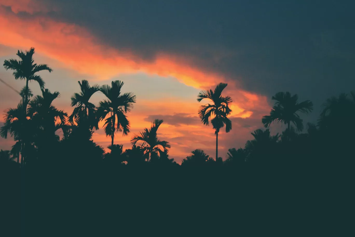 Photo of Kerala By Ghumuntuu