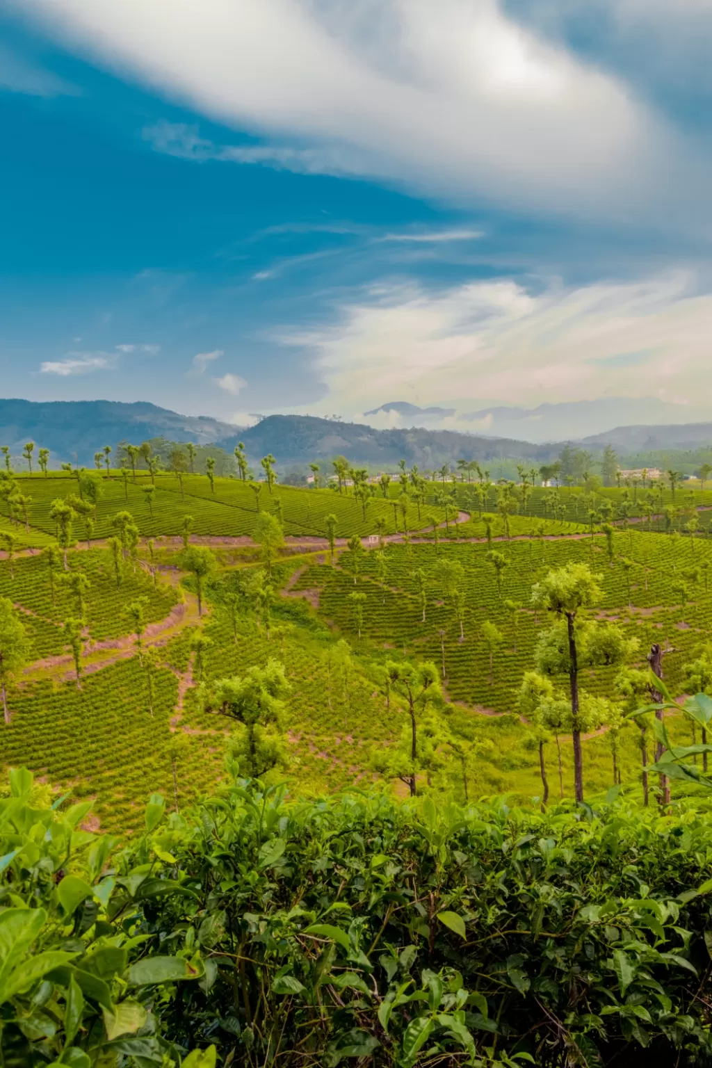 Photo of Valparai By Seelan's Photography 