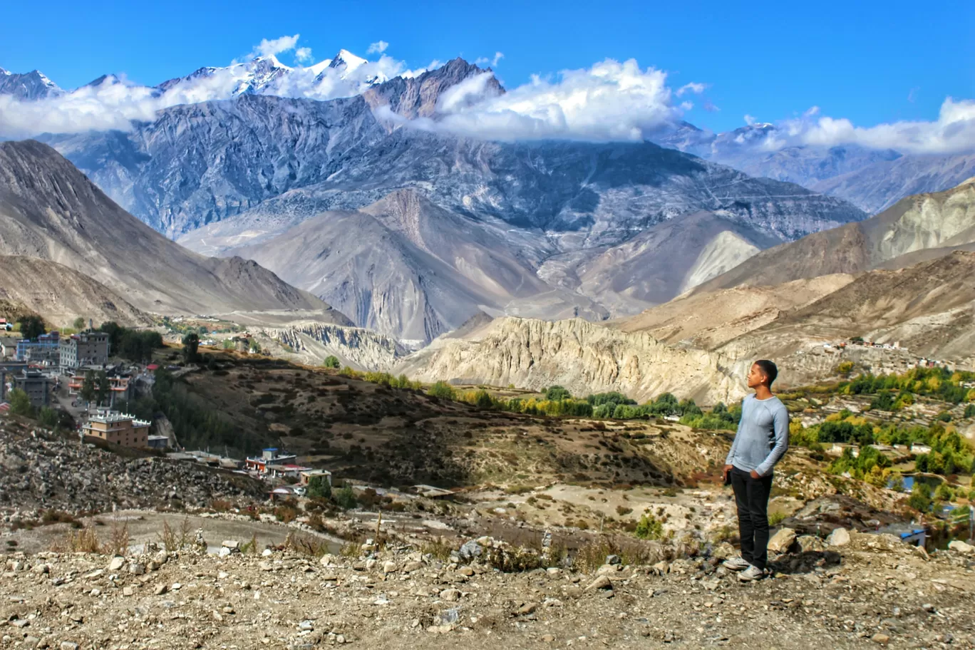 Photo of Mustang By Sunil Vishwakarma