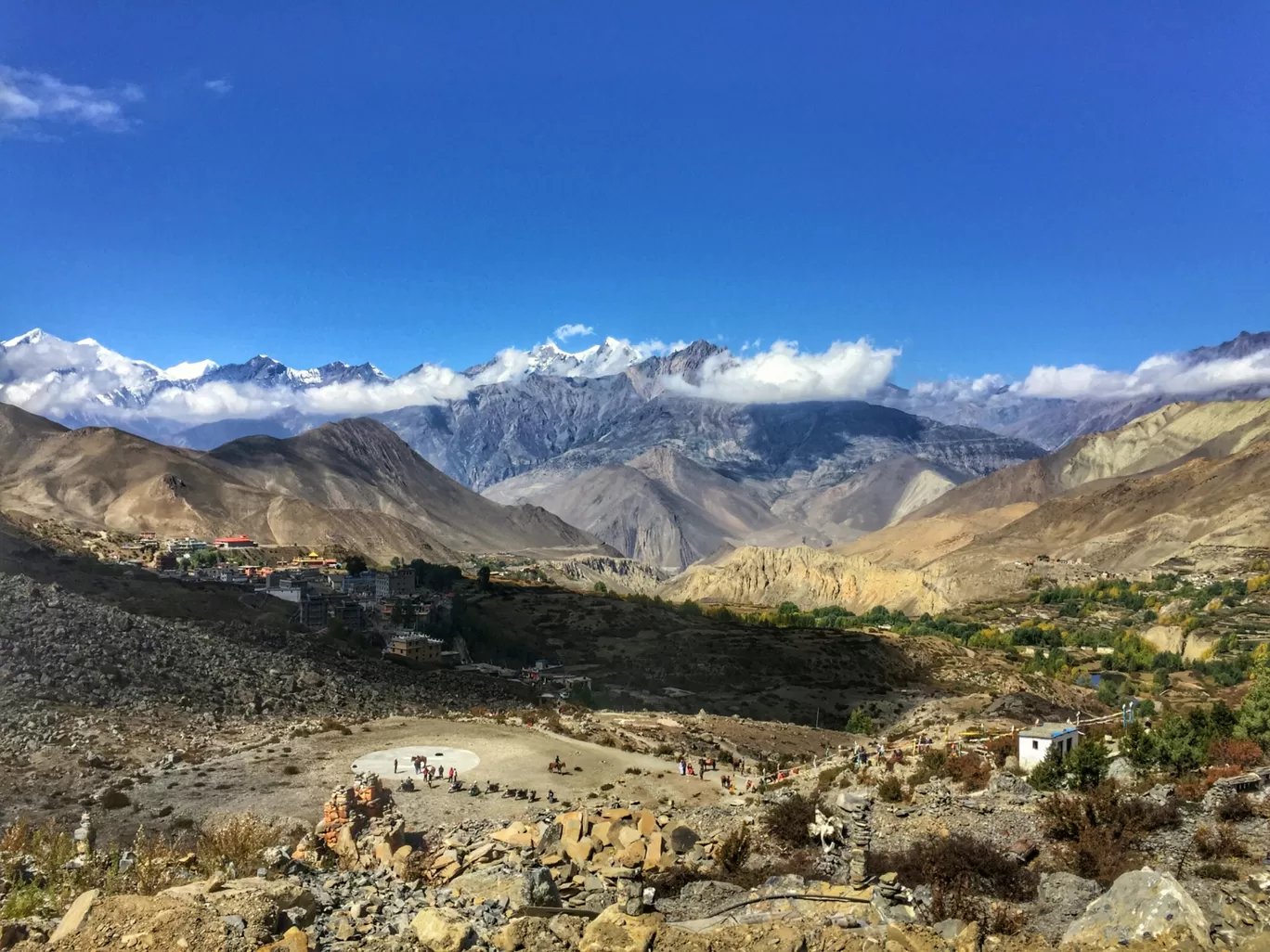 Photo of Mustang By Sunil Vishwakarma