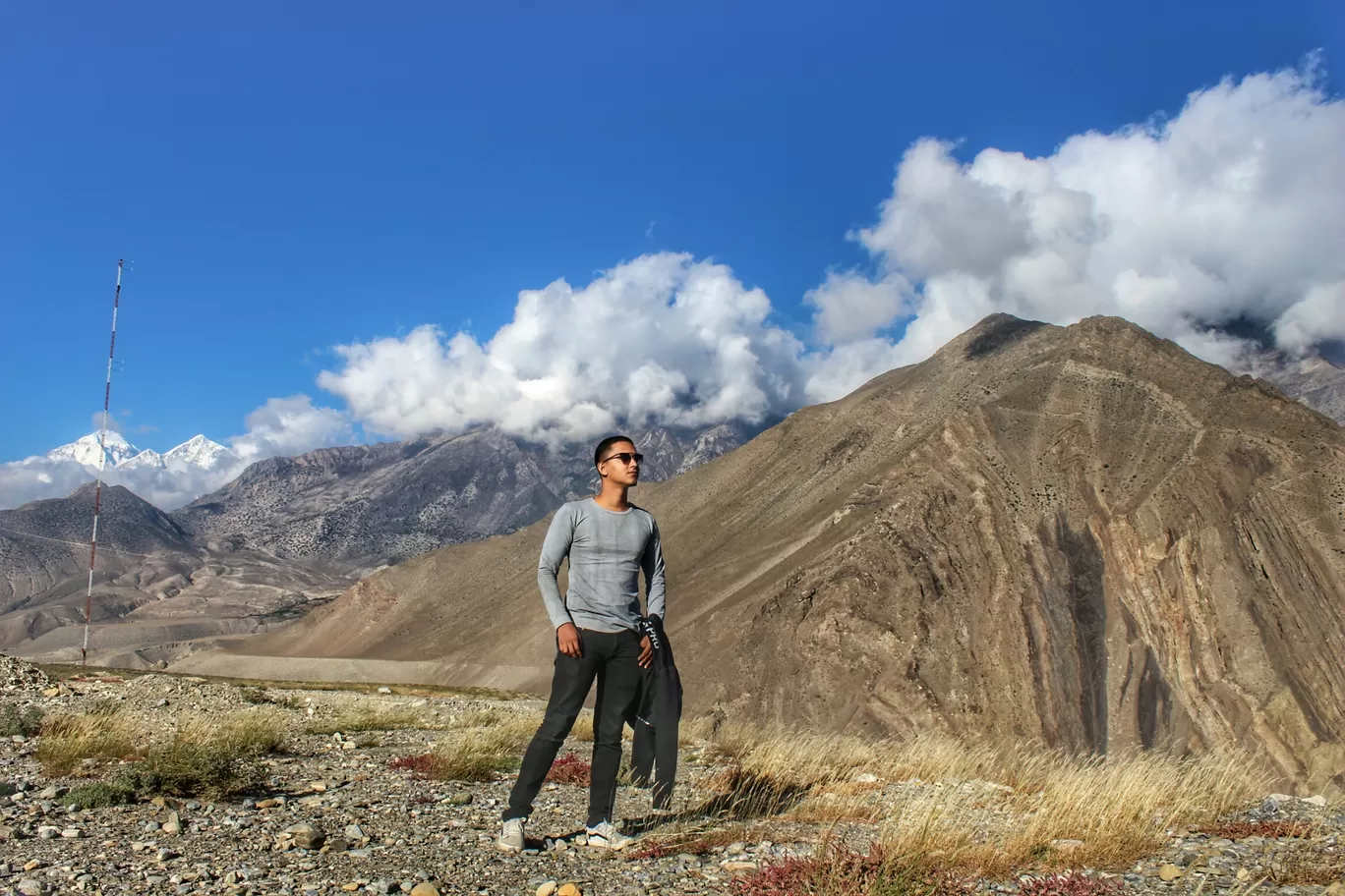 Photo of Mustang By Sunil Vishwakarma