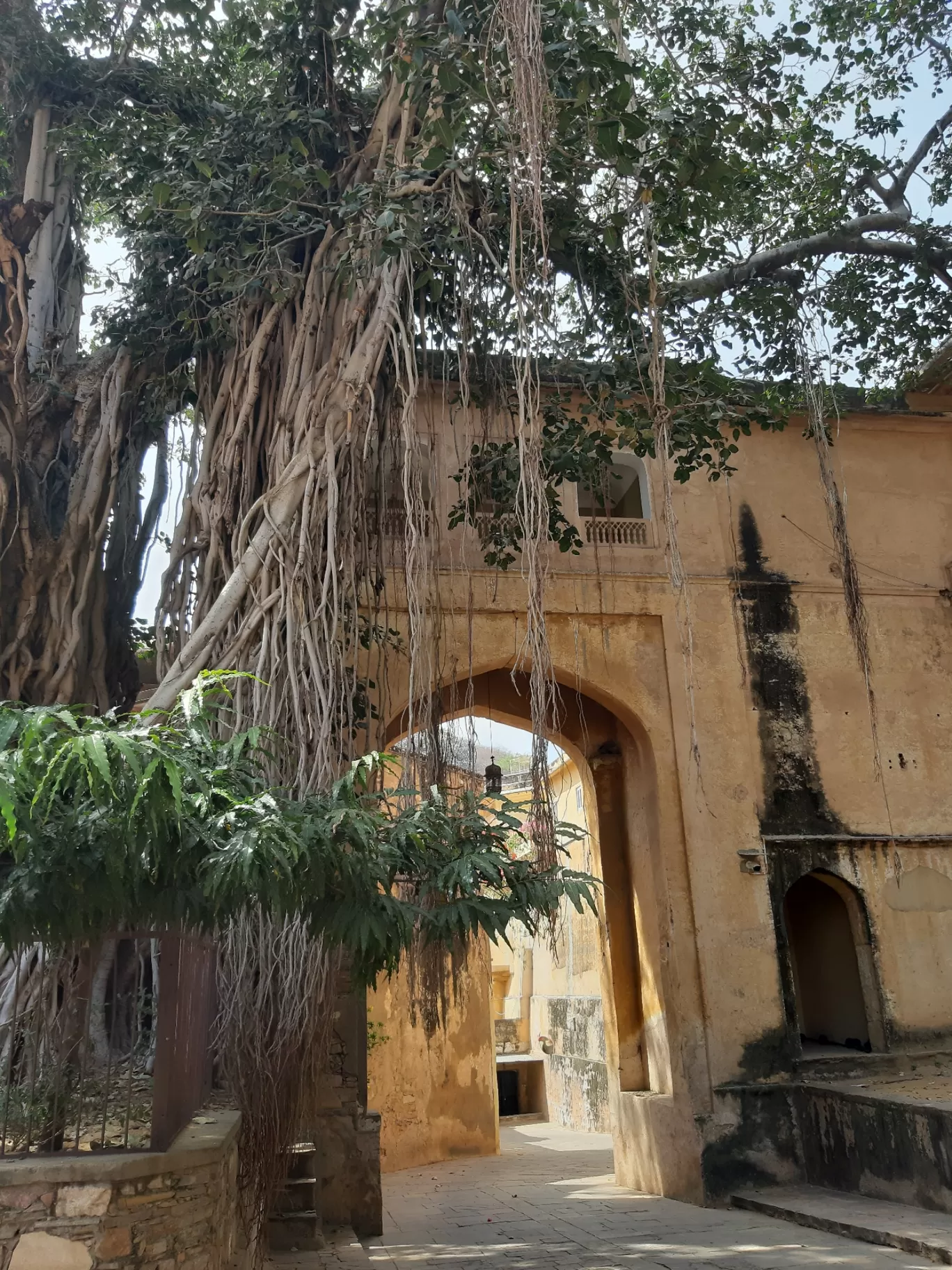 Photo of Samode Palace By chetanya vaishnav