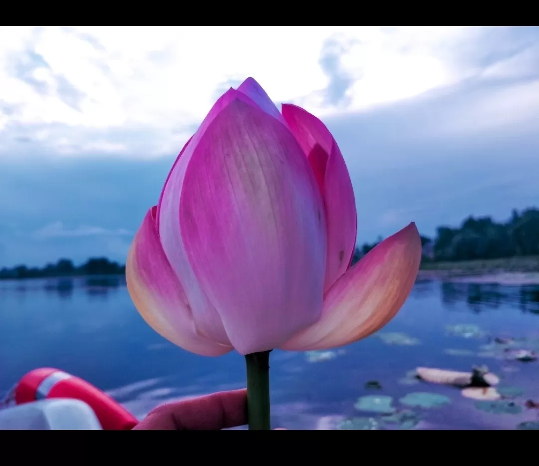 Photo of Manasbal By Suman Nain