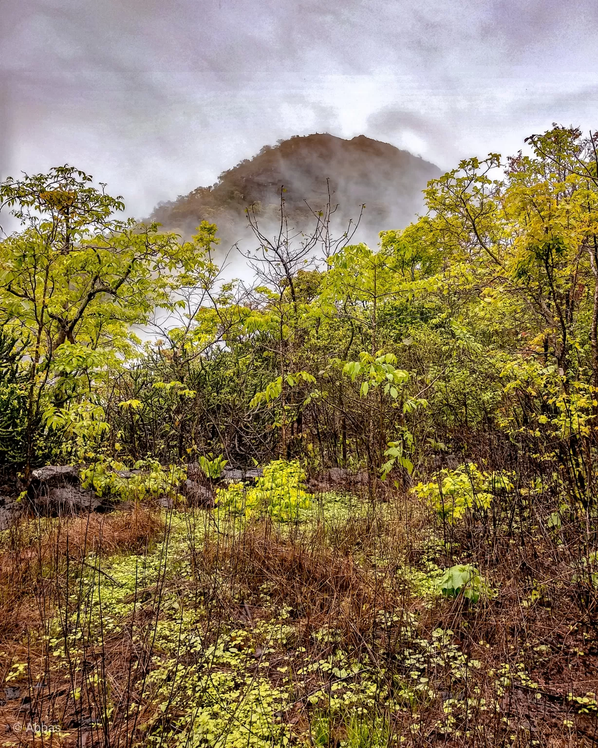 Photo of Palghar By Abbas Leel