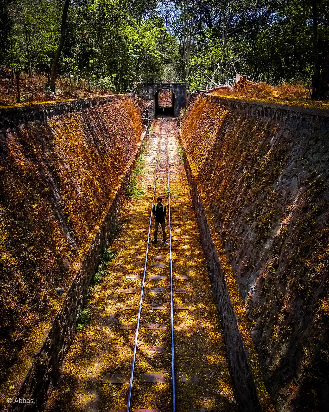 Photo of Sanjay Gandhi National Park By Abbas Leel