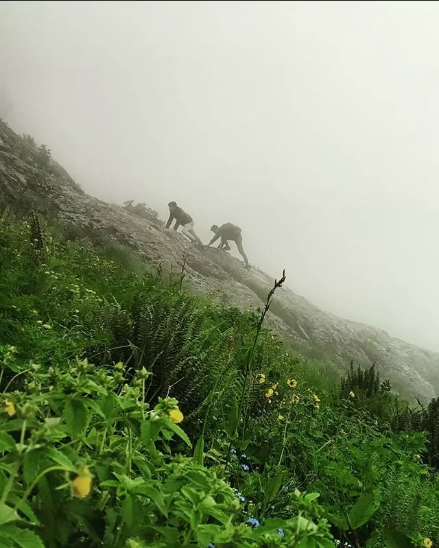 Photo of Bhadarwah - Chamba Road By Akshat