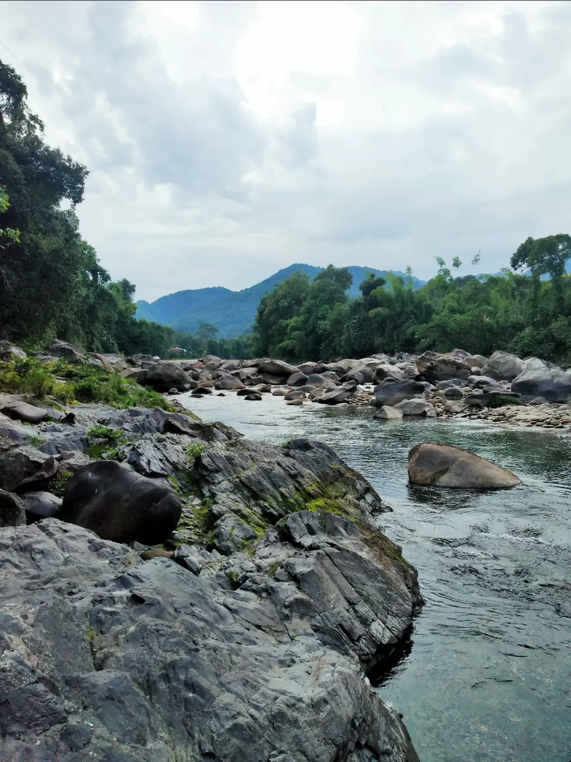 Photo of Arunachal Pradesh By Suchitra Nayak