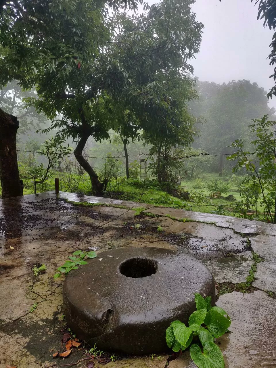 Photo of Anjaneri Mountain By priyanka majumdar