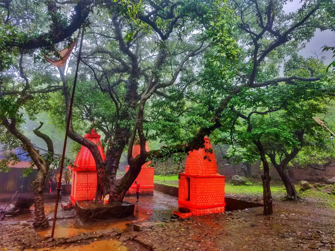 Photo of Anjaneri Mountain By priyanka majumdar