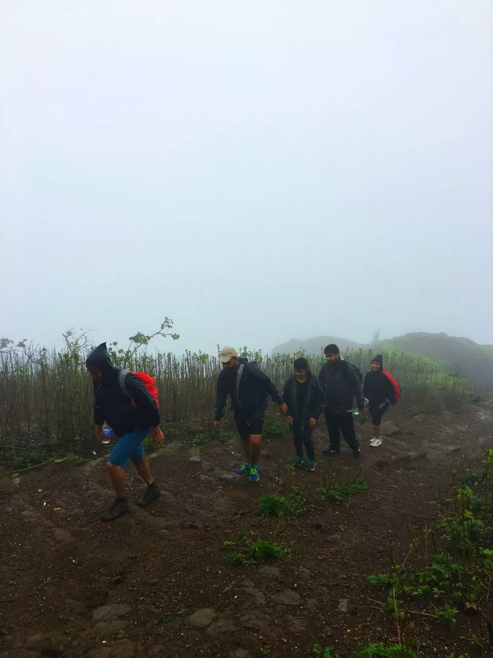 Photo of Anjaneri Mountain By priyanka majumdar
