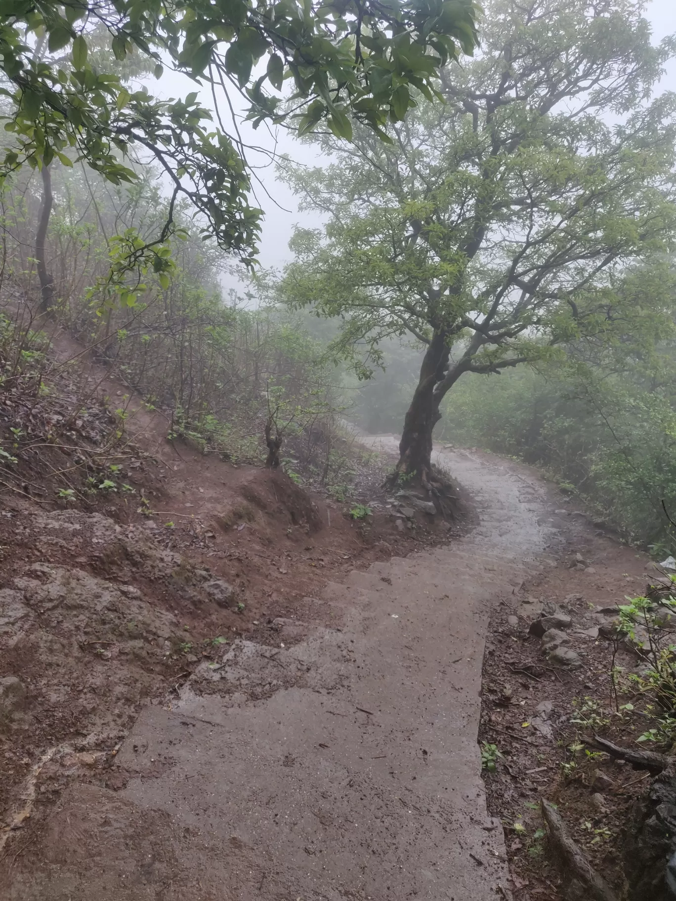 Photo of Anjaneri Mountain By priyanka majumdar