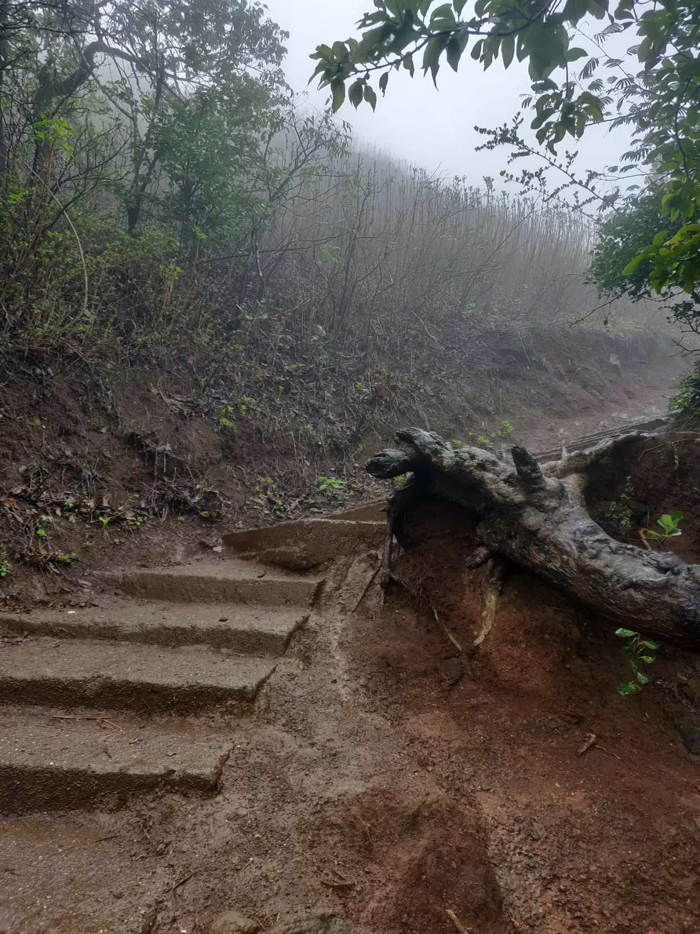 Photo of Anjaneri Mountain By priyanka majumdar