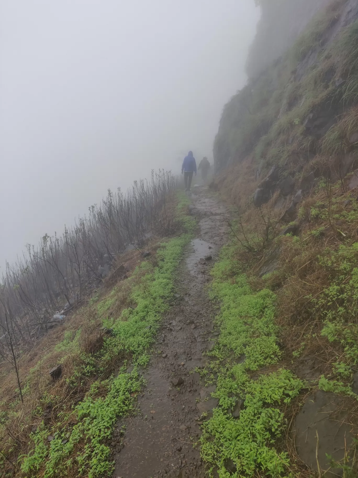 Photo of Anjaneri Mountain By priyanka majumdar