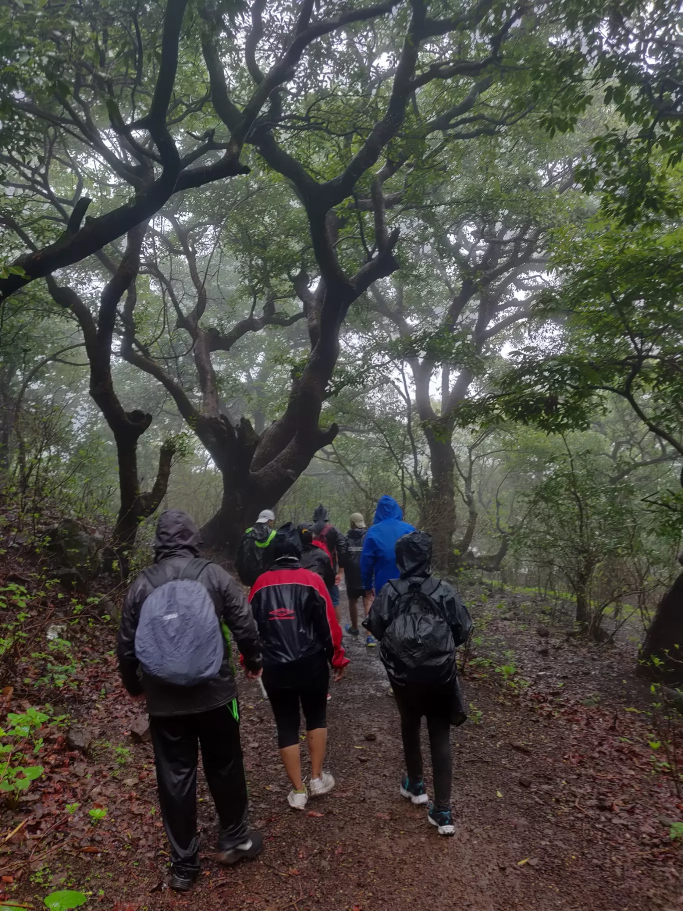 Photo of Anjaneri Mountain By priyanka majumdar