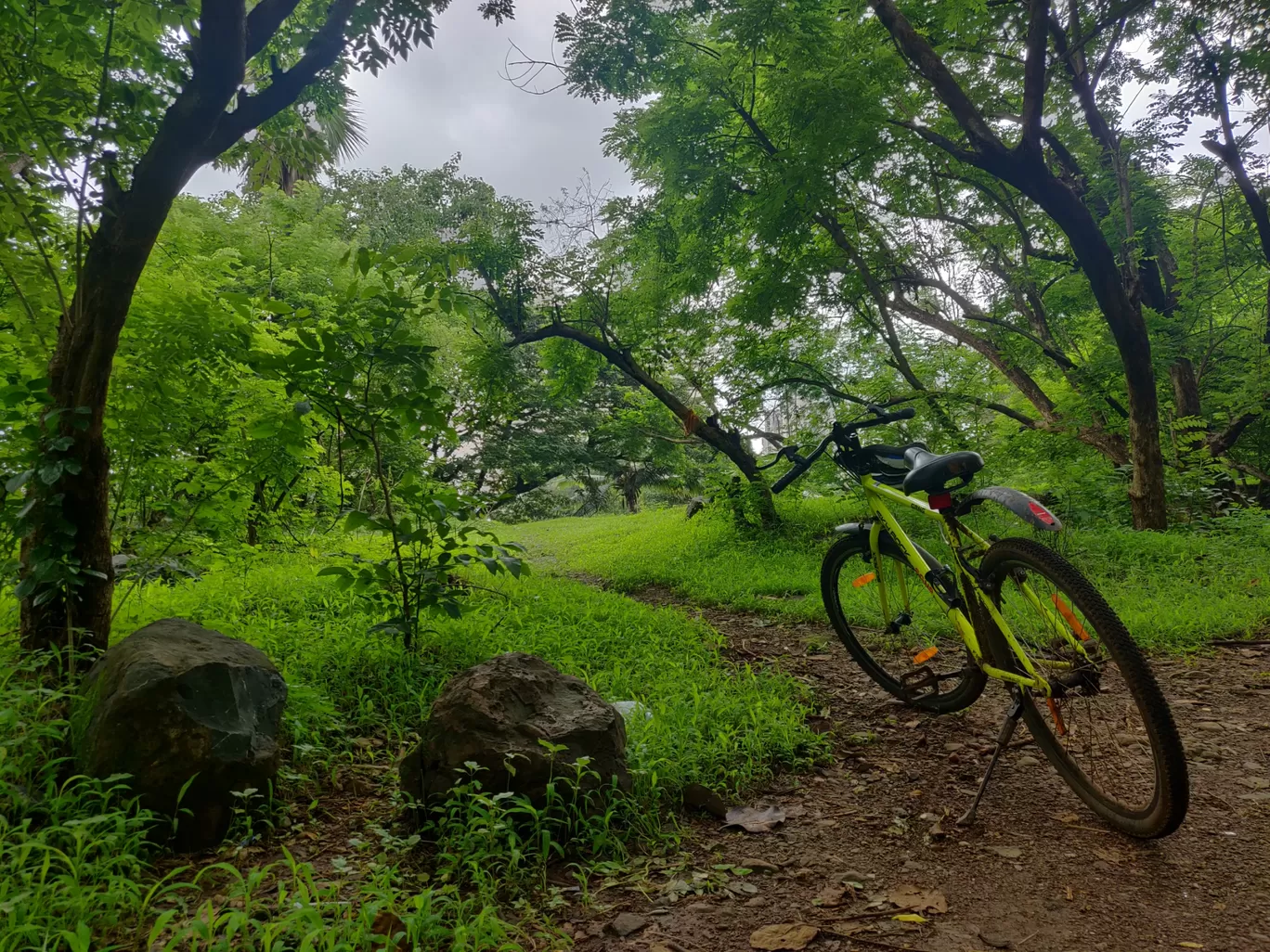 Photo of Sanjay Gandhi National Park By priyanka majumdar