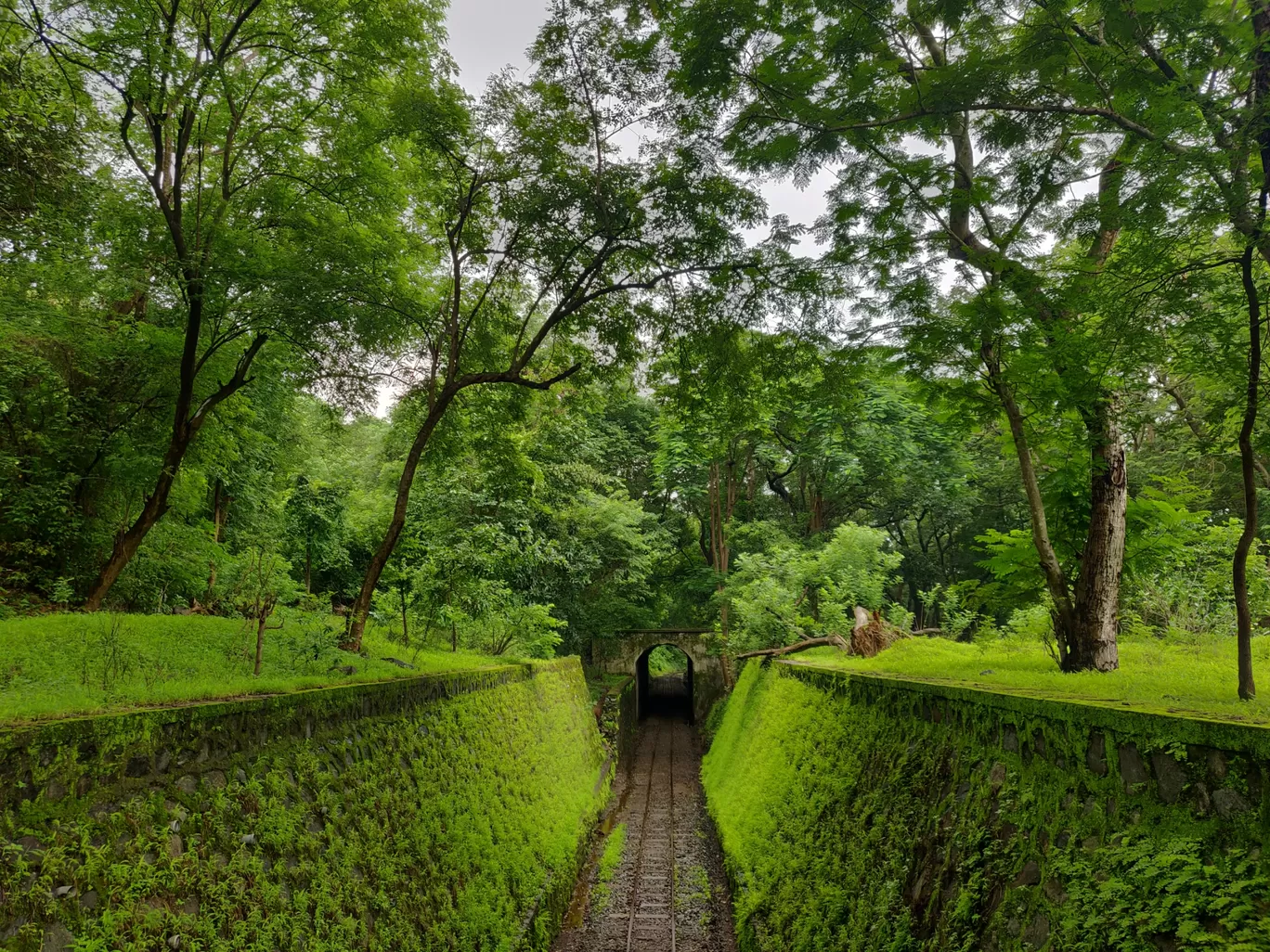 Photo of Sanjay Gandhi National Park By priyanka majumdar