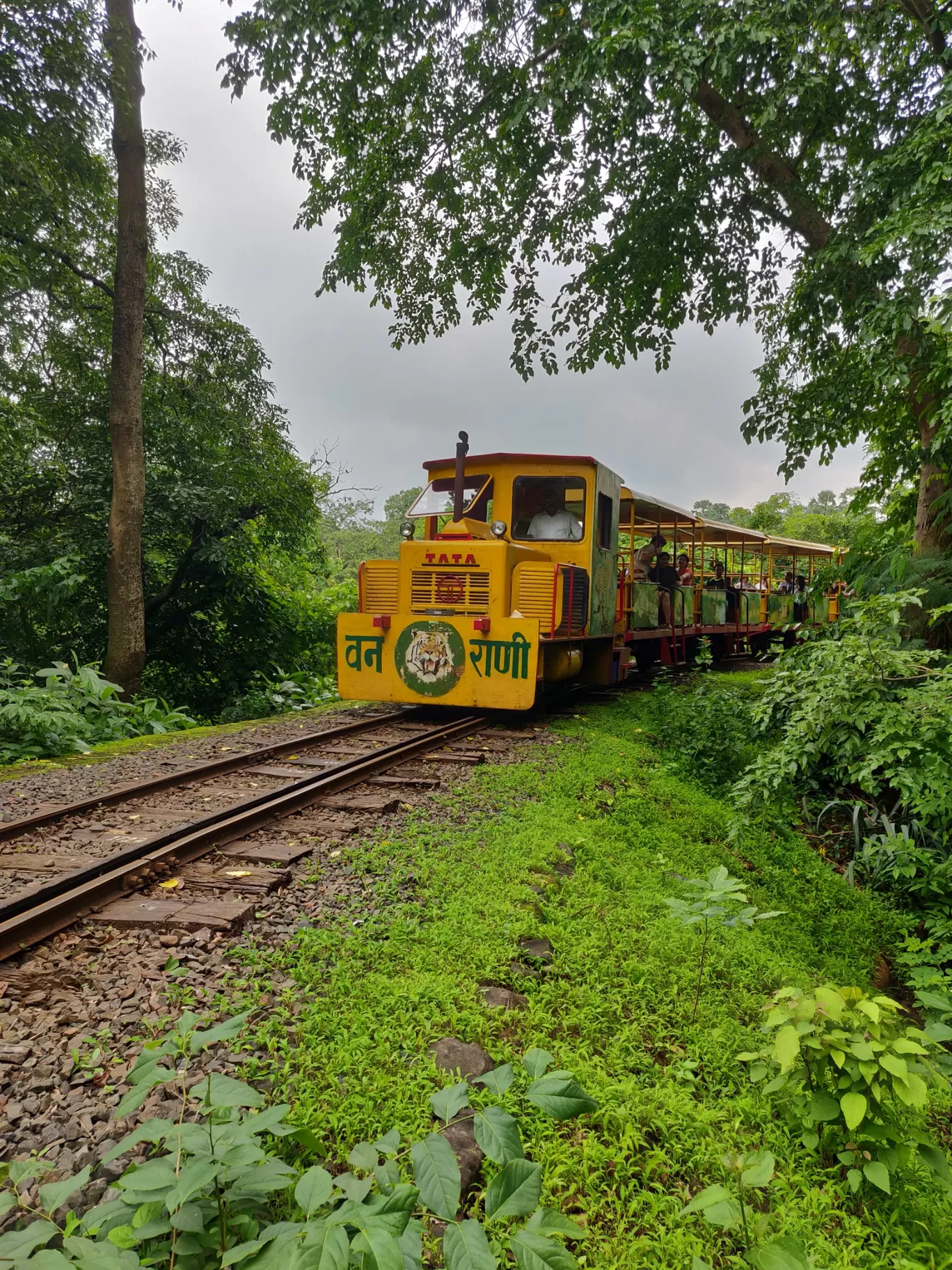 Photo of Sanjay Gandhi National Park By priyanka majumdar