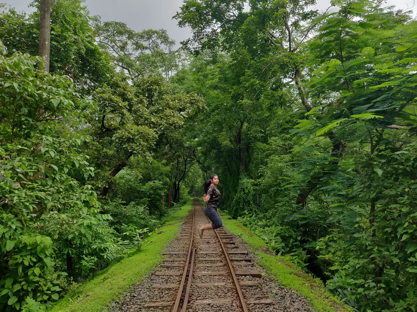 Photo of Sanjay Gandhi National Park By priyanka majumdar