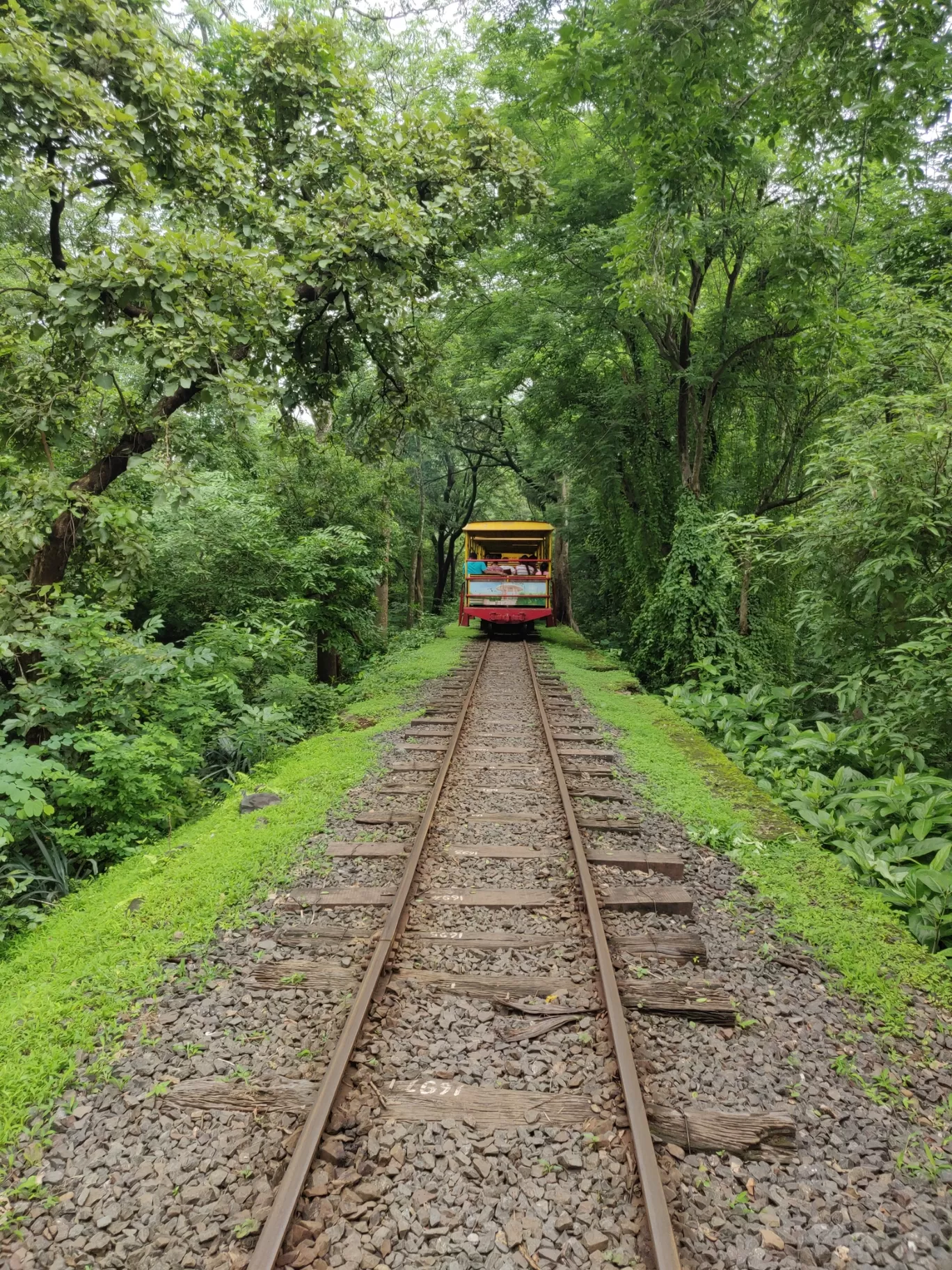 Photo of Sanjay Gandhi National Park By priyanka majumdar