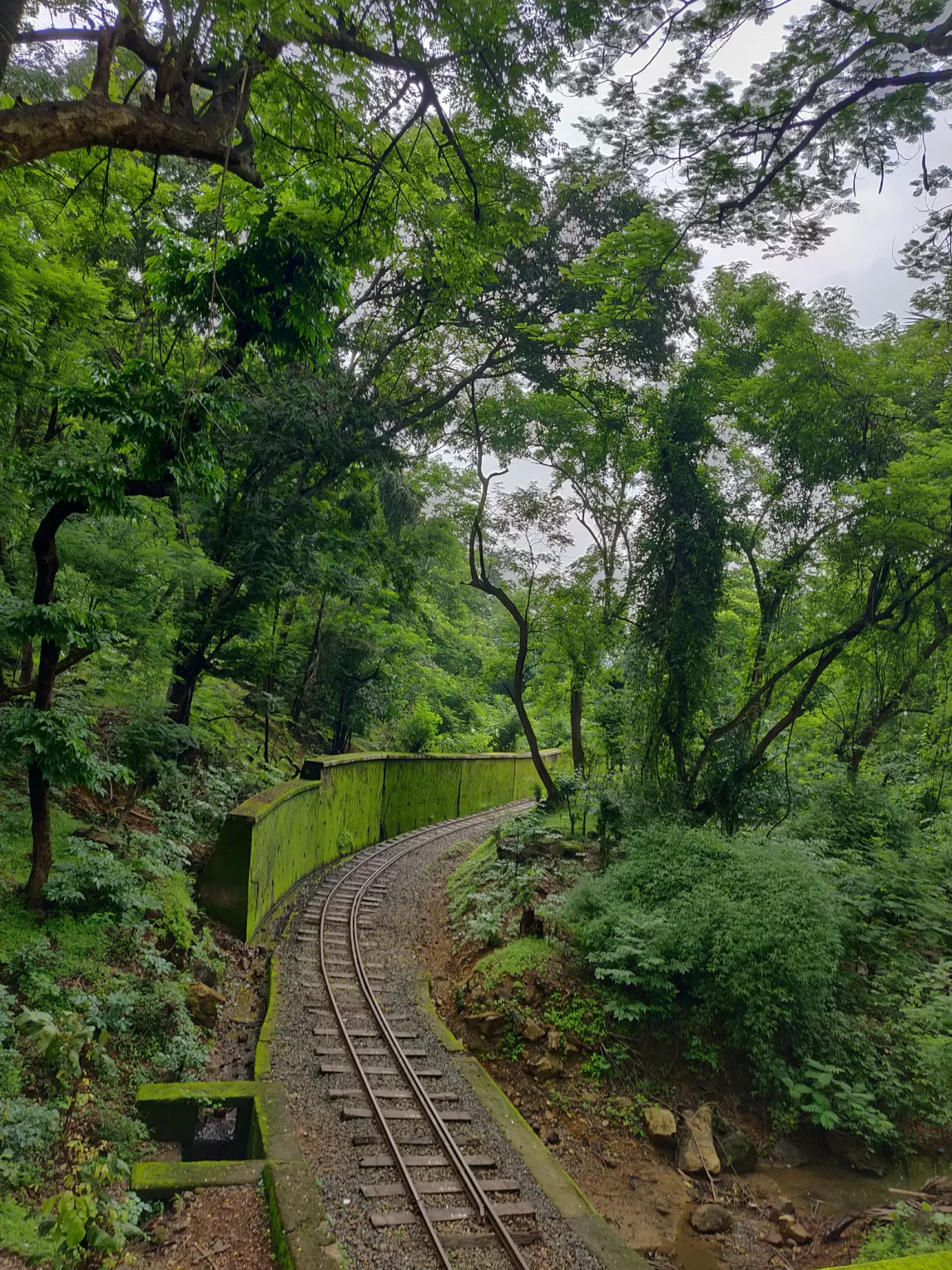 Photo of Sanjay Gandhi National Park By priyanka majumdar