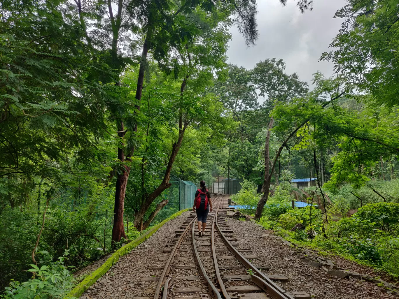 Photo of Sanjay Gandhi National Park By priyanka majumdar