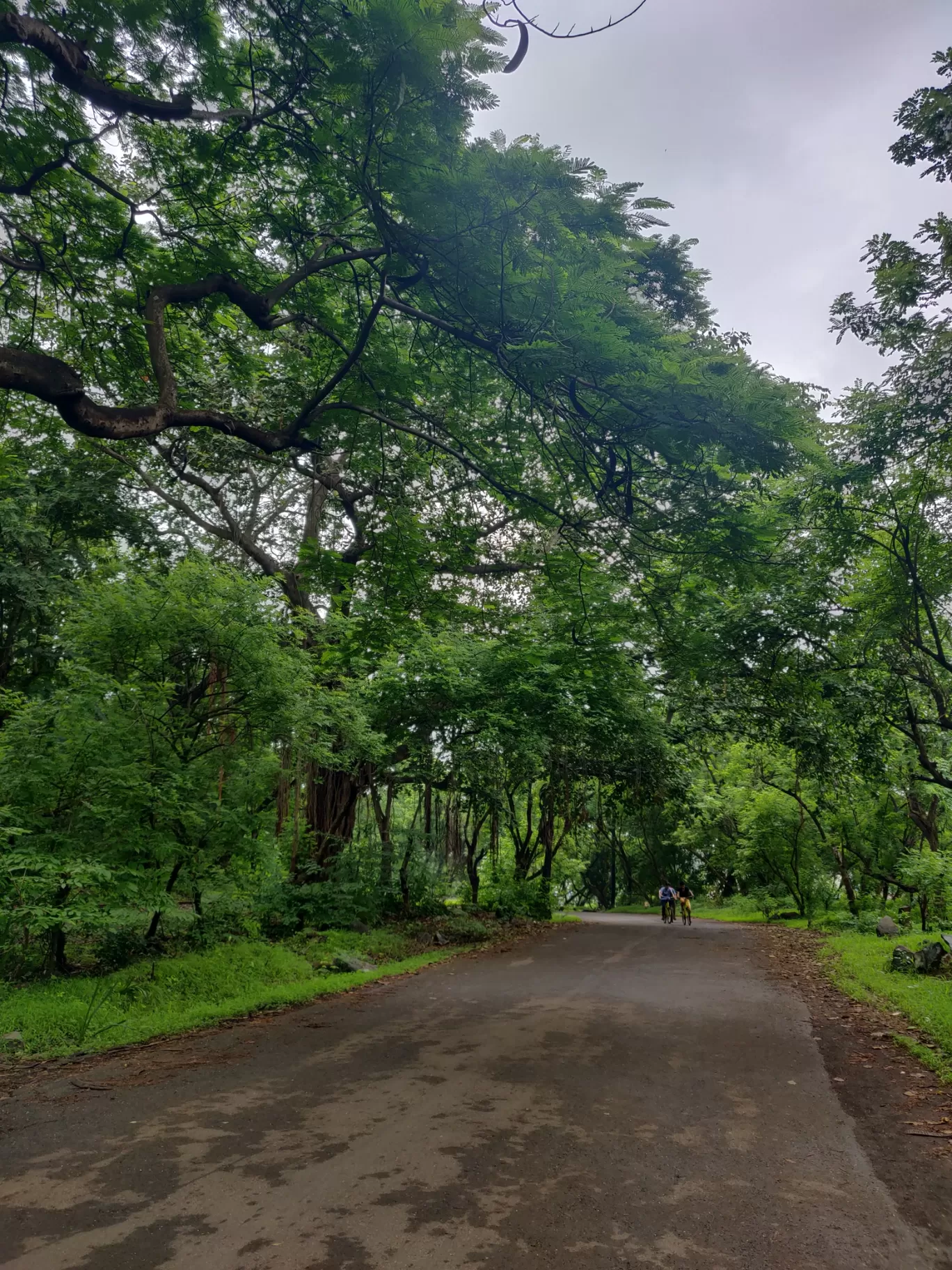 Photo of Sanjay Gandhi National Park By priyanka majumdar