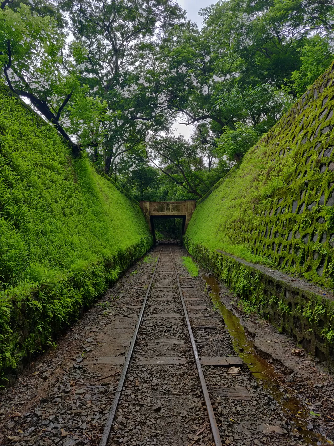 Photo of Sanjay Gandhi National Park By priyanka majumdar