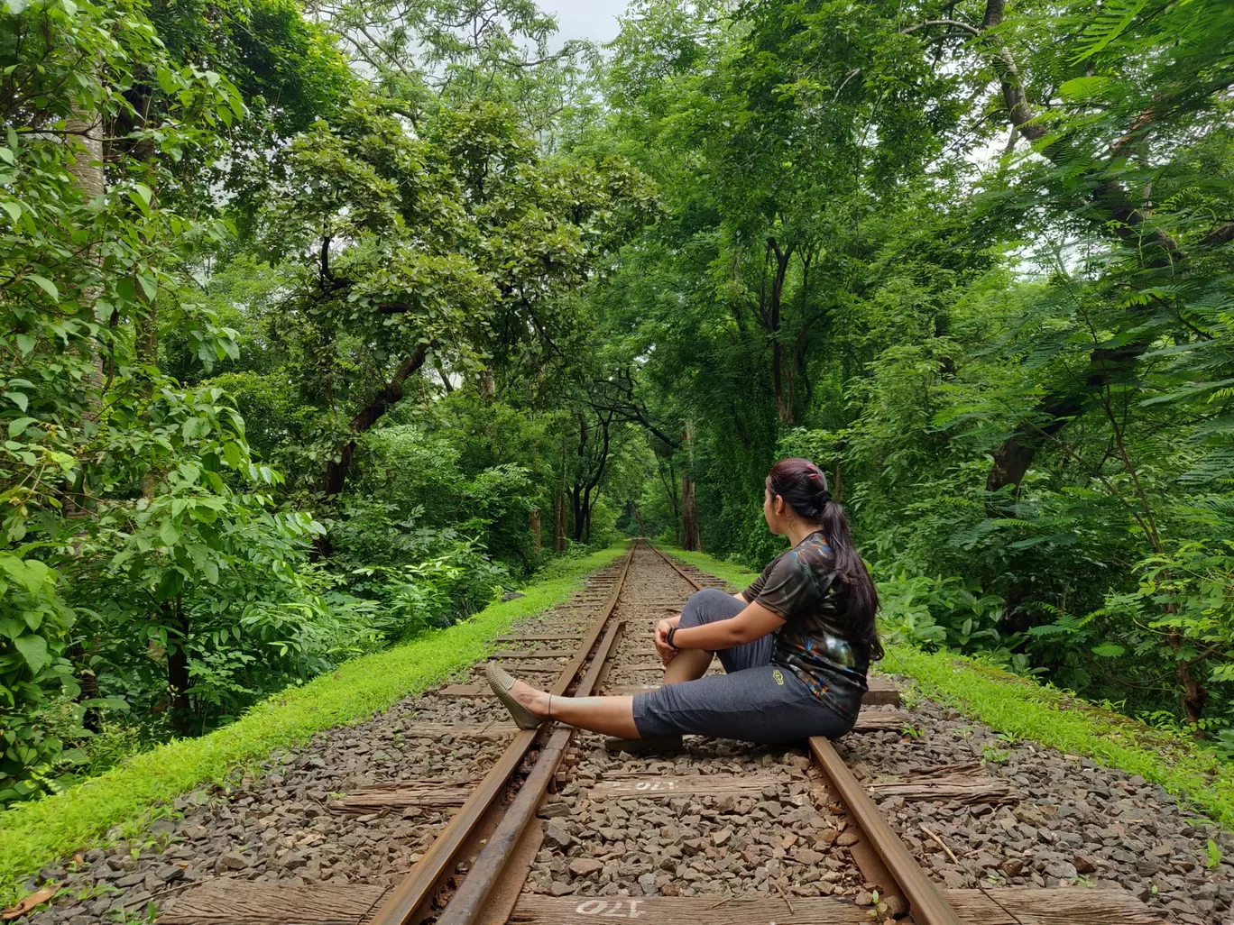 Photo of Sanjay Gandhi National Park By priyanka majumdar