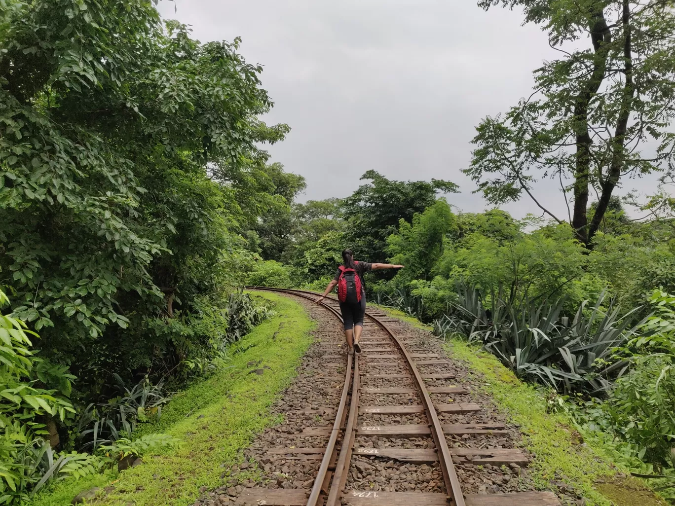 Photo of Sanjay Gandhi National Park By priyanka majumdar