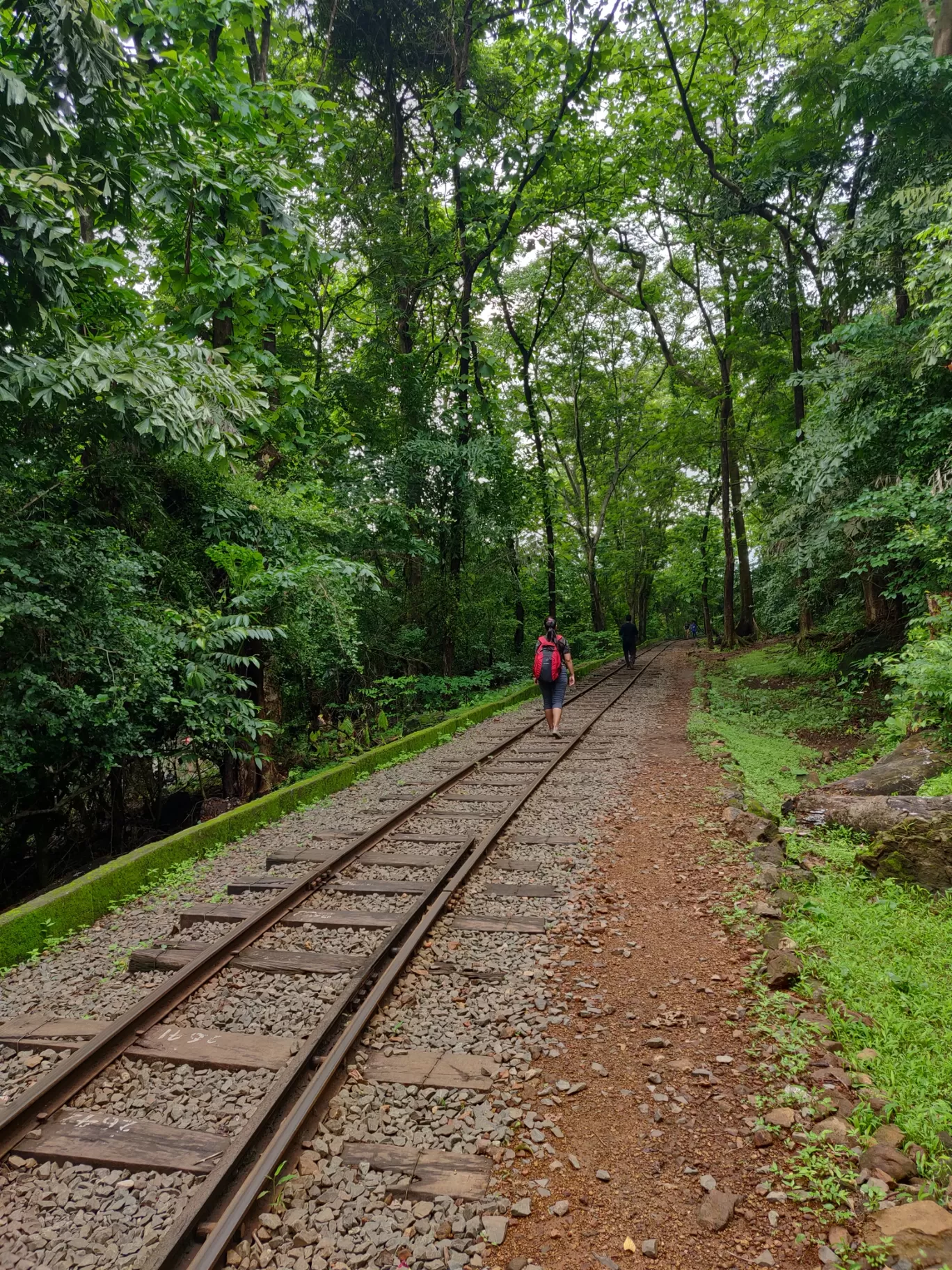 Photo of Sanjay Gandhi National Park By priyanka majumdar